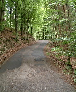 Horbachweg - Bild 3